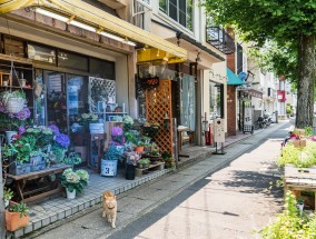 西安东郊母婴店地址及联系电话西安东郊母婴店地址电话号码